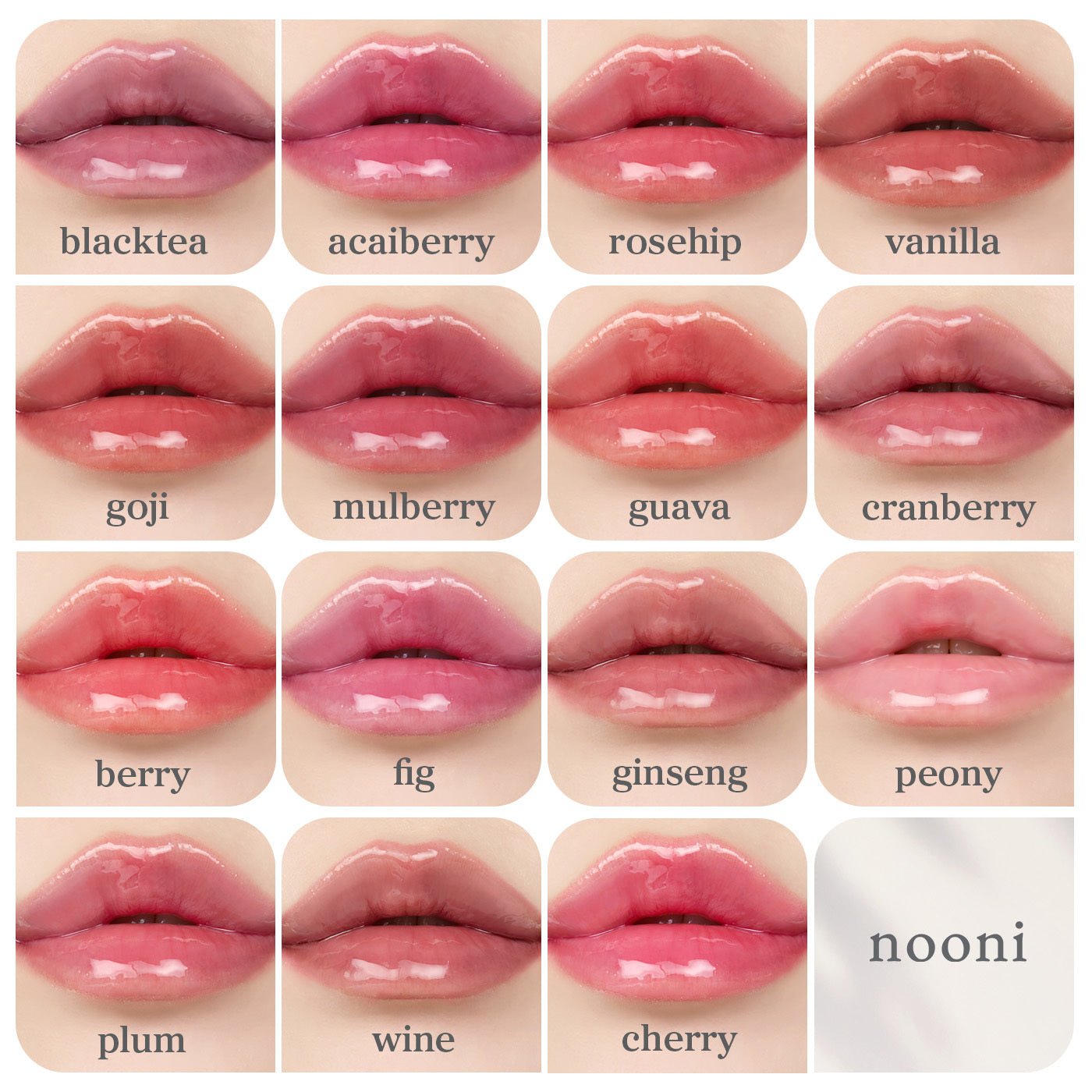 Lip Oil: Complete Collection (15 - Pack) - nooni