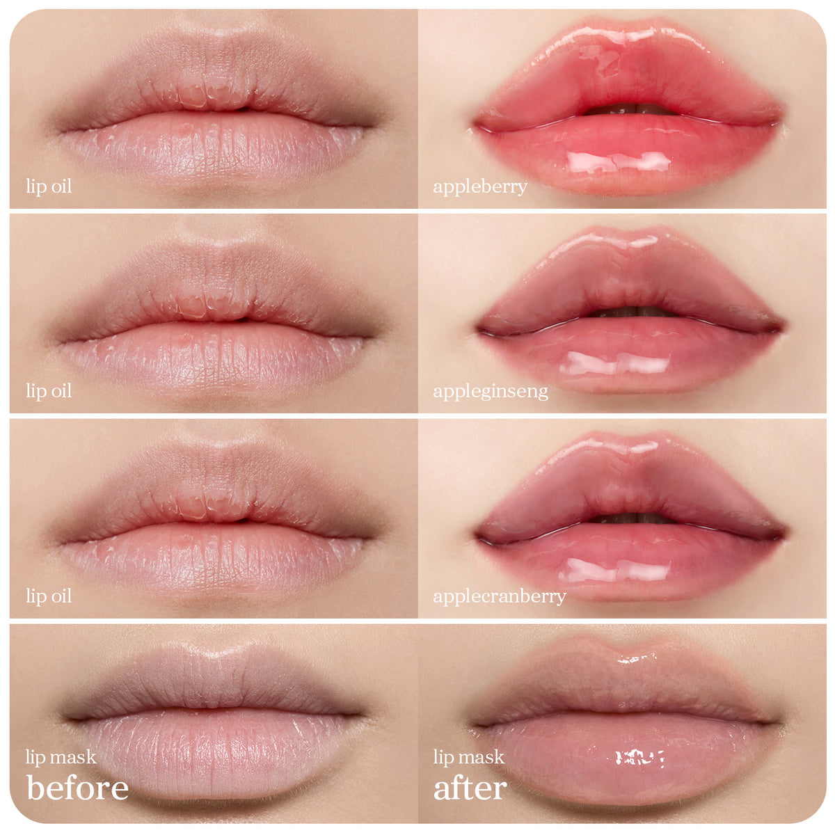 Lip Oil & Lip Mask Daily Essentials (6-Pack)